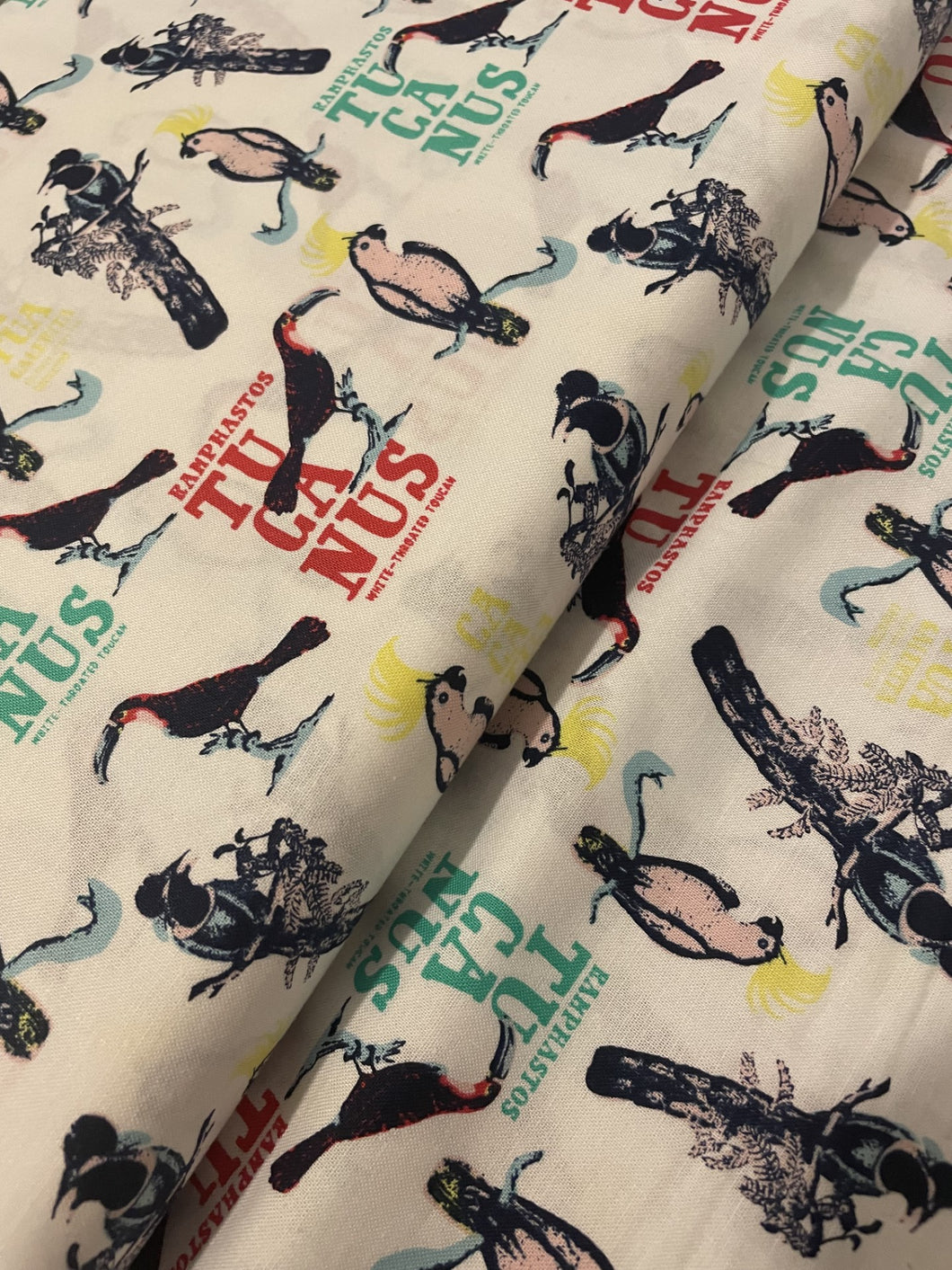 Toucans-Half Metre