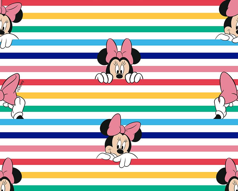 Little Johnny- Minnie/Mickey mouse-Half Metre