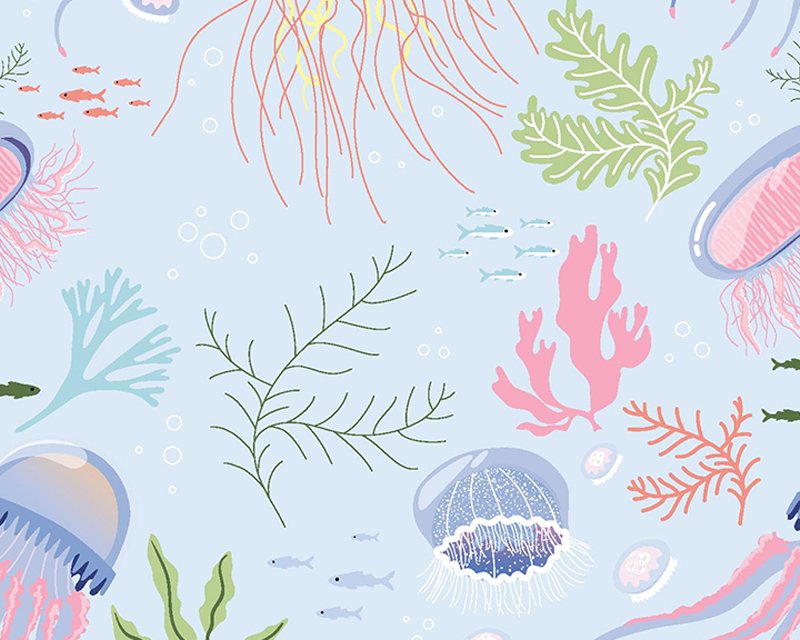 Little Johnny- Jelly fish/Half Metre