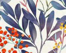 Load image into Gallery viewer, Little Johnny Berry Plant/Half Metre
