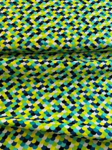 Scales - Half Metre